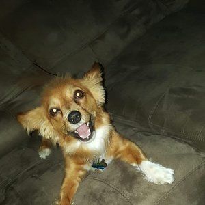 Meet your Posher, Carol